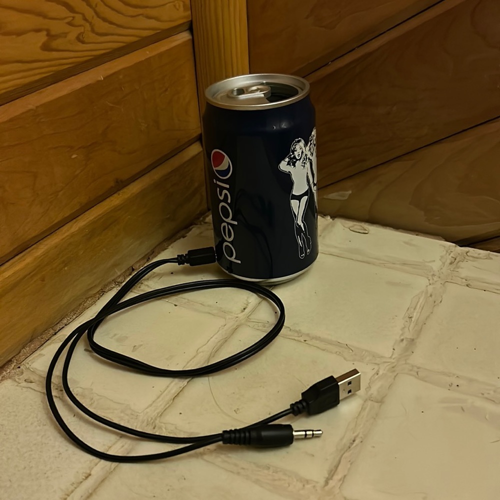 Beyoncé Pepsi Speaker